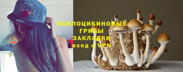 меф Михайловск