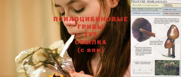 ешки Навашино