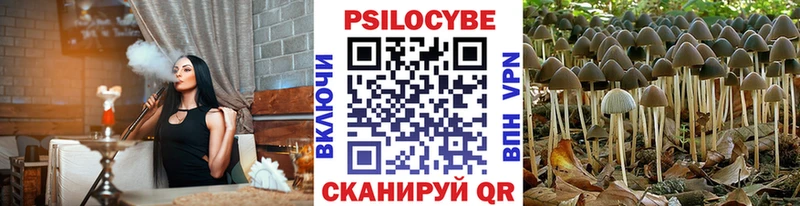 OMG как войти  Нововоронеж  Псилоцибиновые грибы MAGIC MUSHROOMS 