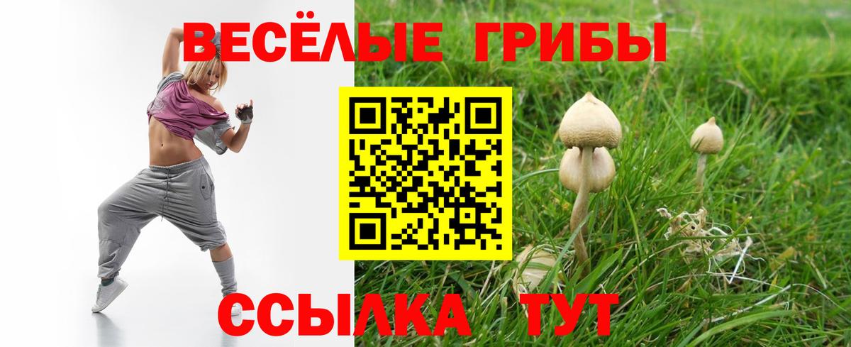 Галлюциногенные грибы Magic Shrooms  Вход с VPN  Нововоронеж 