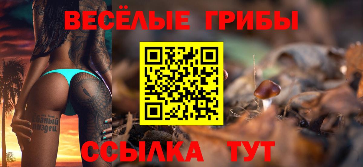Галлюциногенные грибы мицелий Нововоронеж